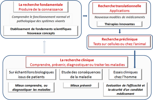 Covid-19 : au cœur de la thrombose