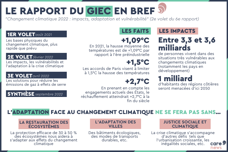 infographie le rapport du giec en bref carenews