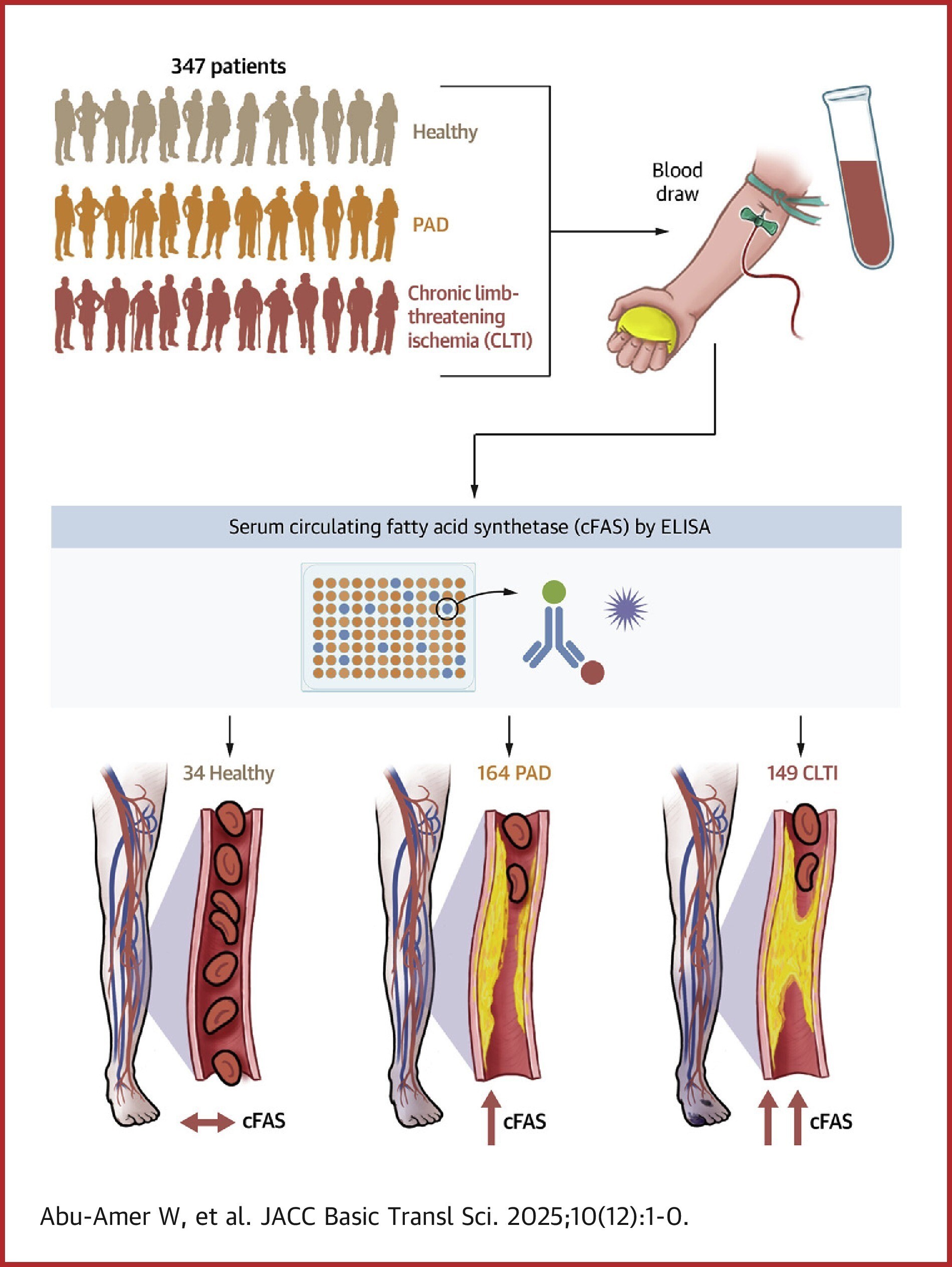 1 s2.0 S2452302X2500364X ga1 lrg