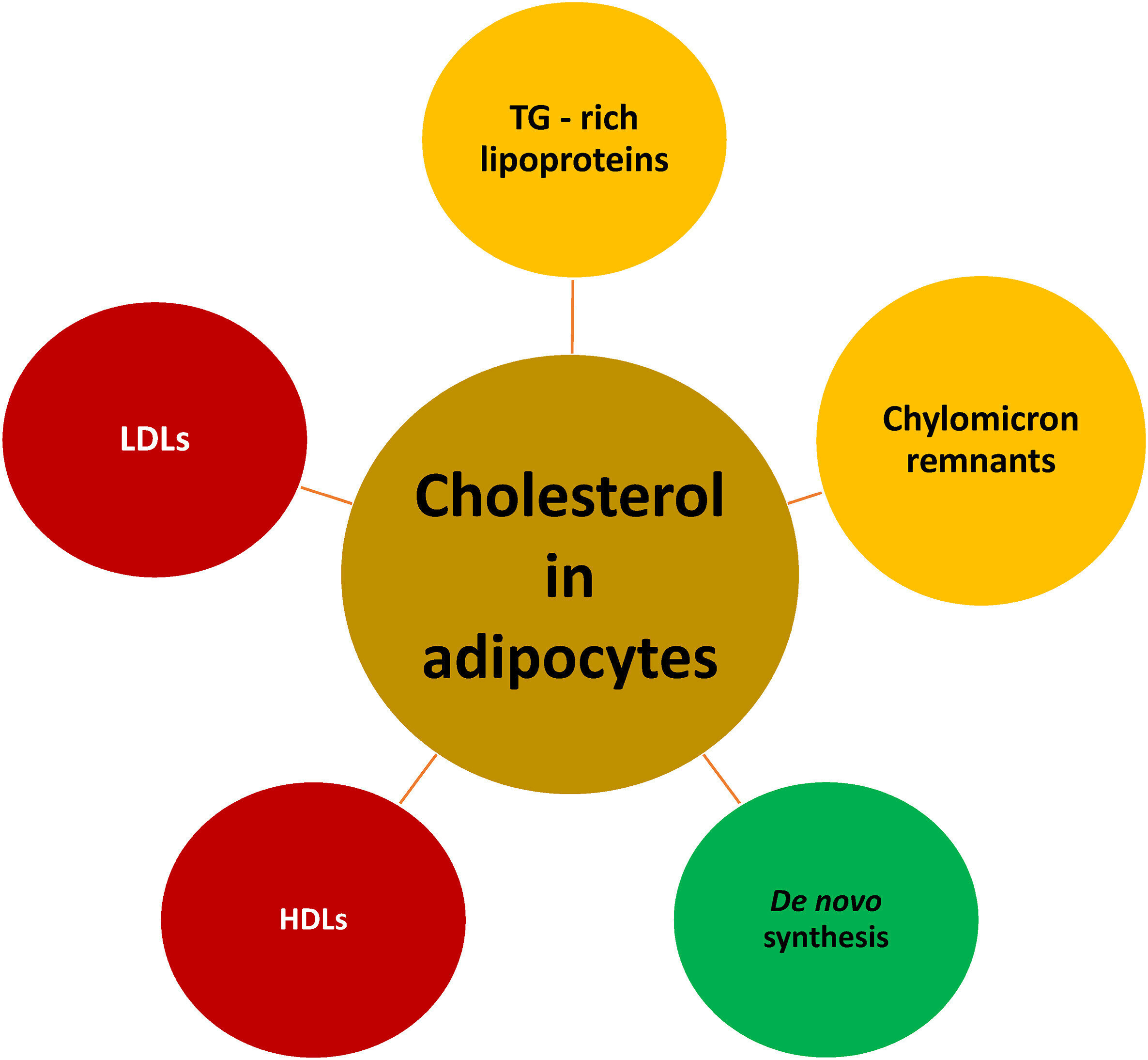 1 s2.0 S266736812400010X gr1 lrg