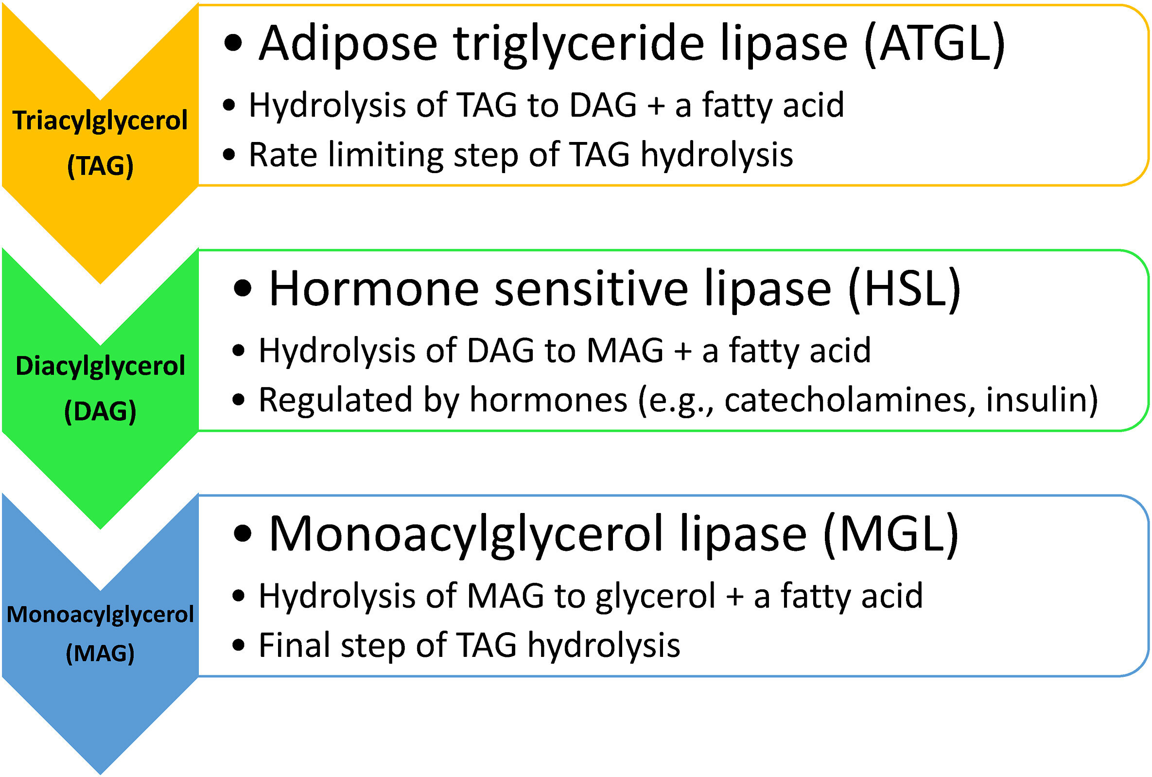 1 s2.0 S266736812400010X gr4 lrg