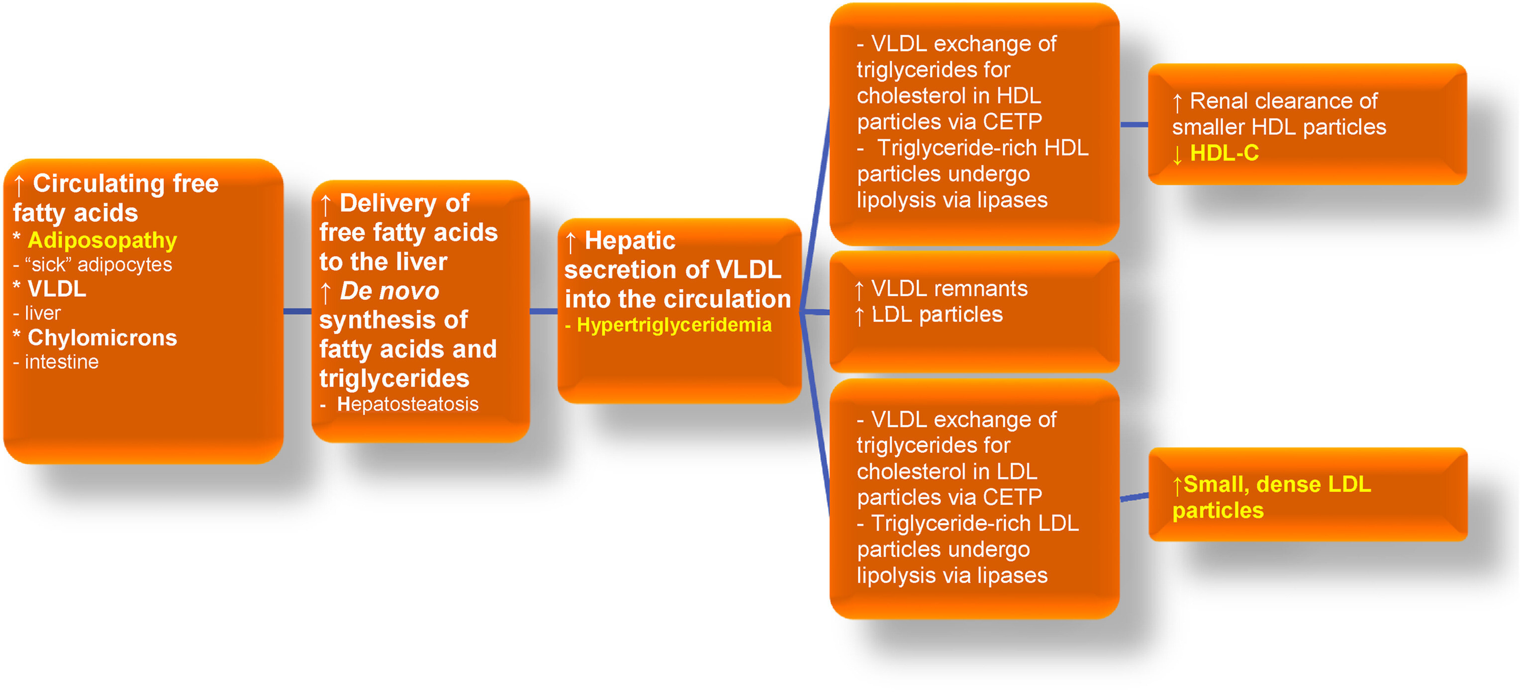 1 s2.0 S266736812400010X gr9 lrg