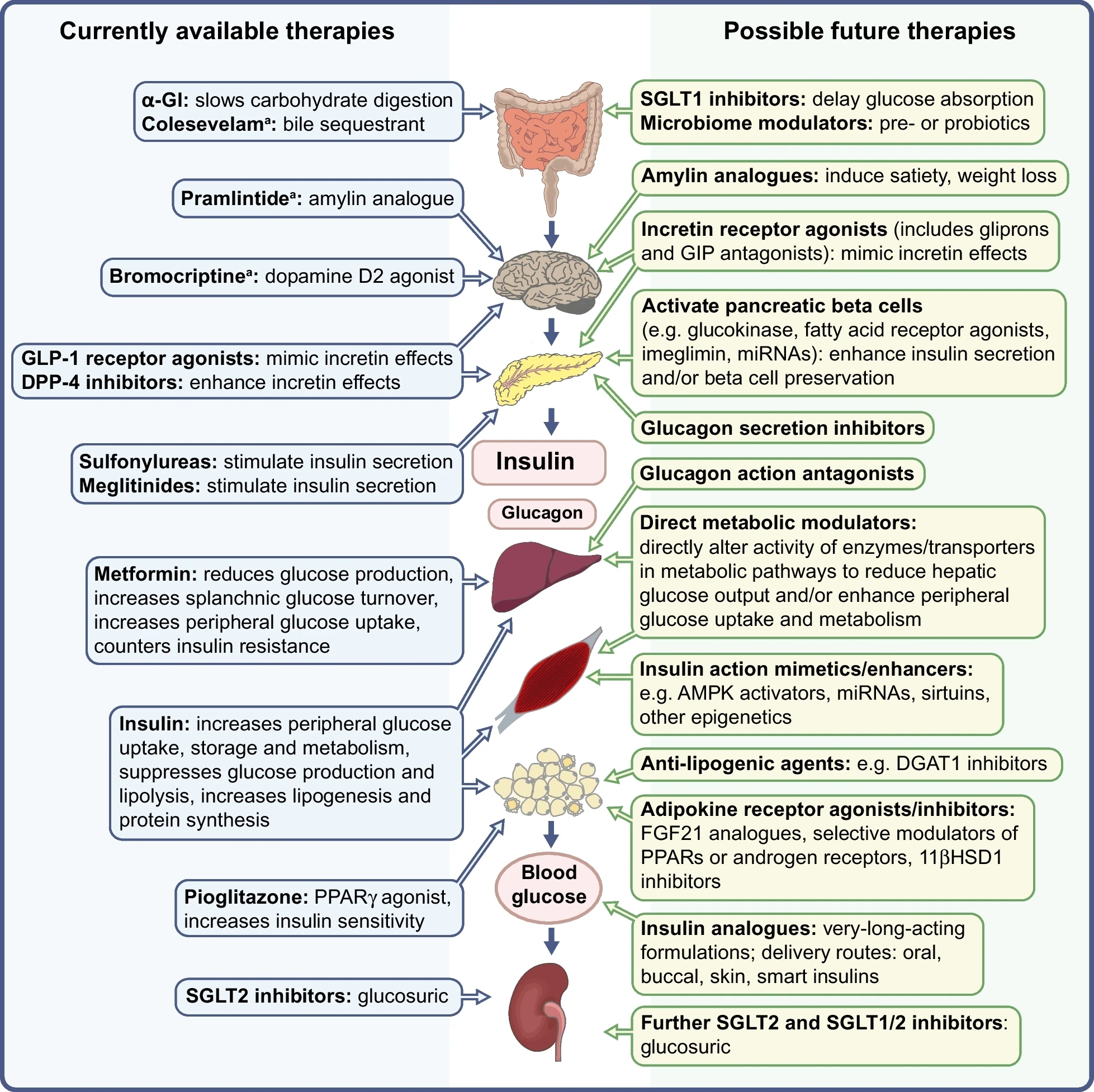125 2025 6581 Fig1 HTML