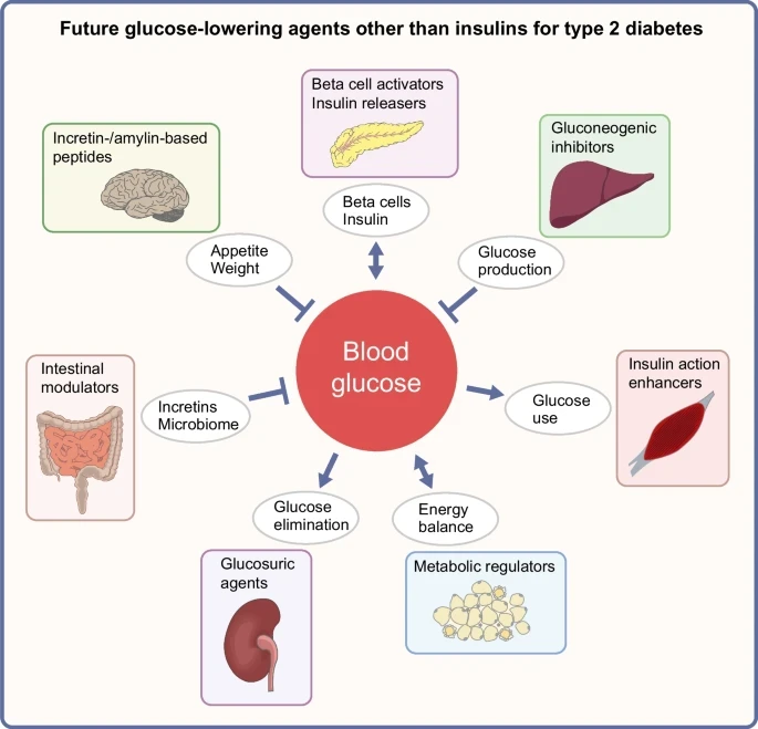 125 2025 6581 Figa HTML