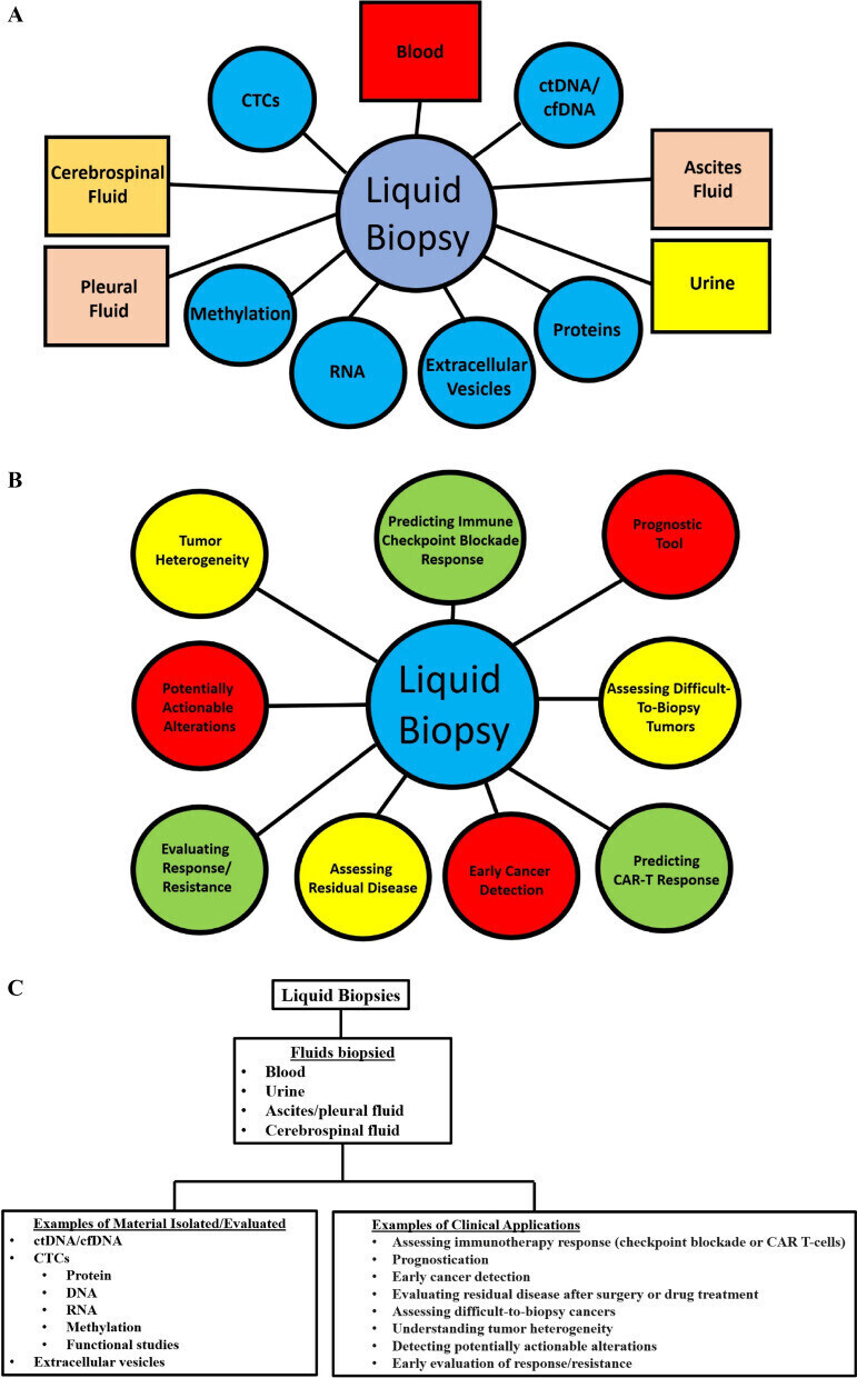 13045 2022 1351 Fig1 HTML