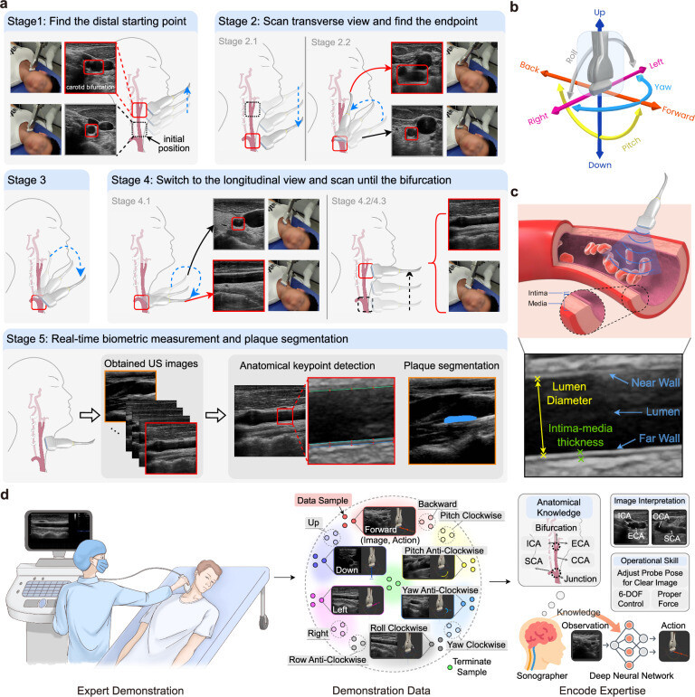 41467 2025 62865 Fig3 HTML