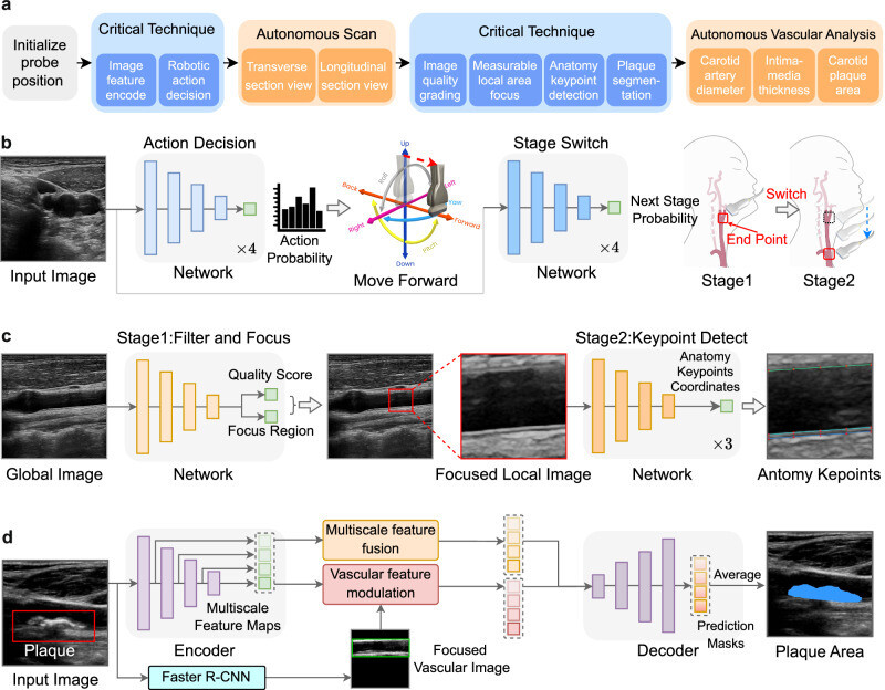 41467 2025 62865 Fig4 HTML