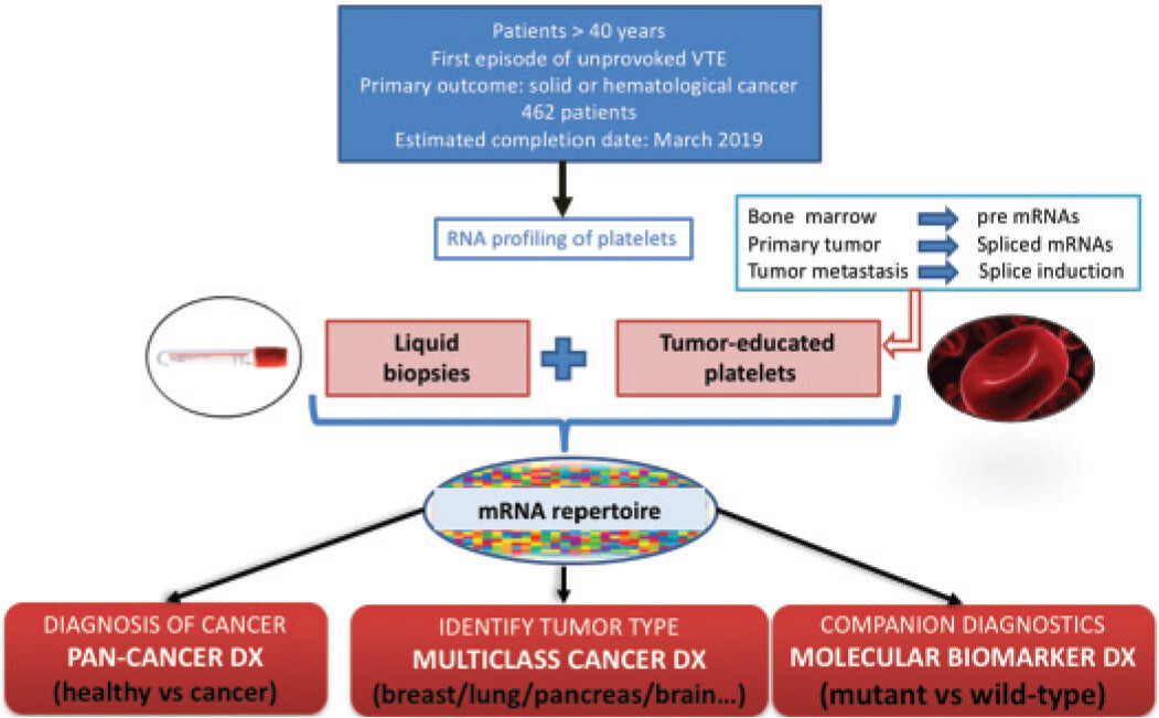 CANCERVTE12