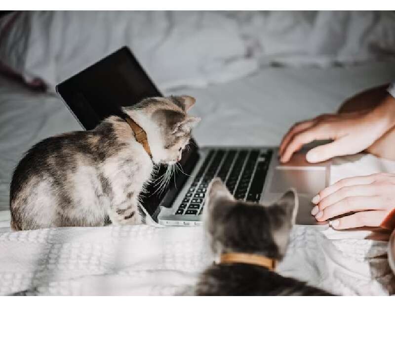 CHCHATTT