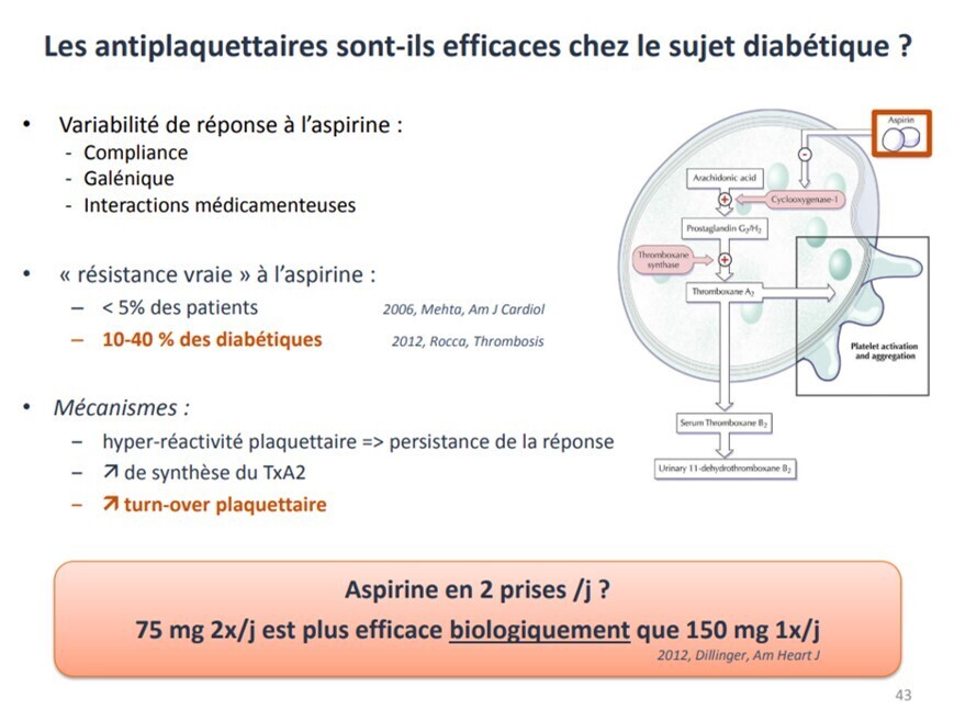 DIAPLAQQ