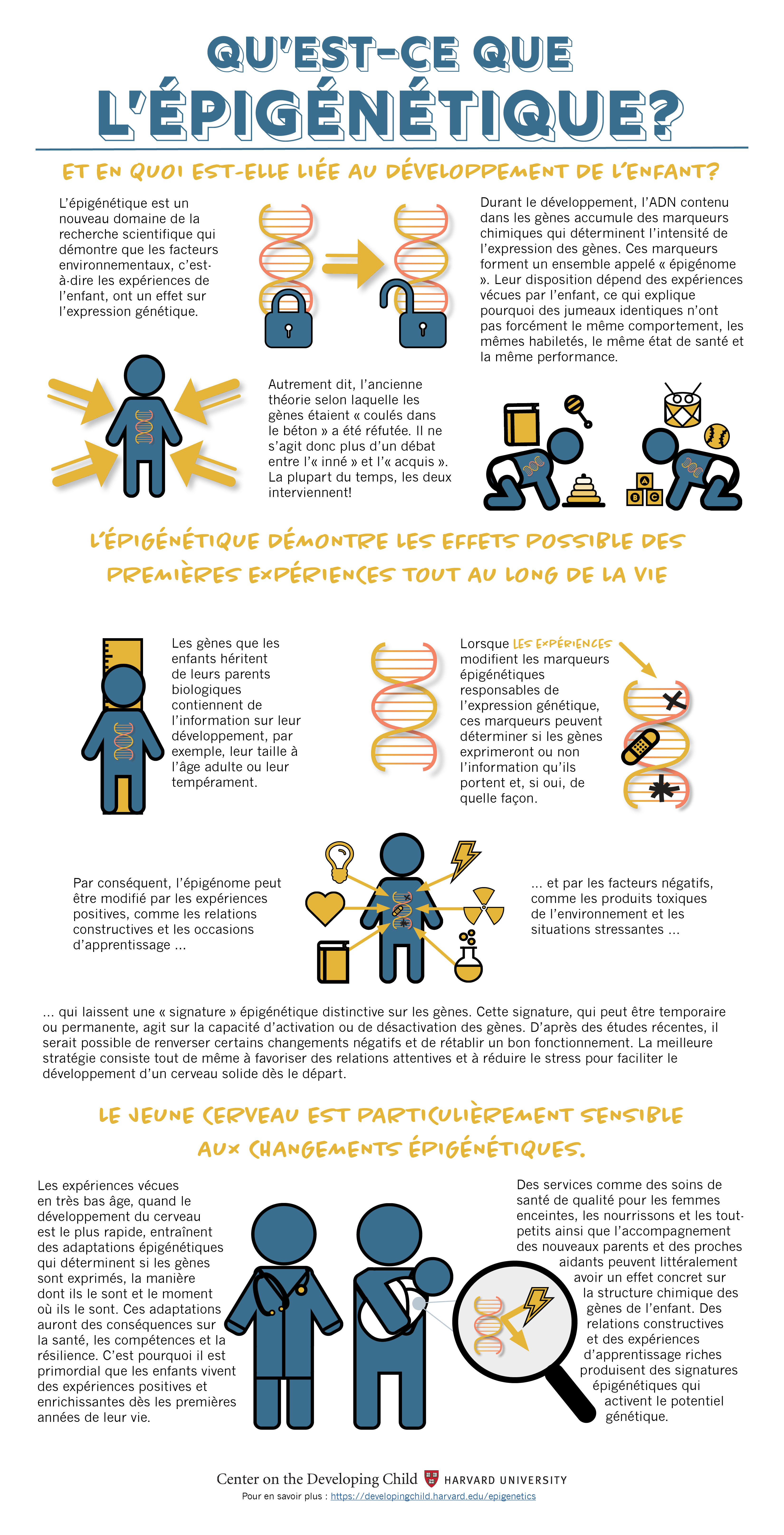 EpigeneticsInfographic FRENCH FINAL