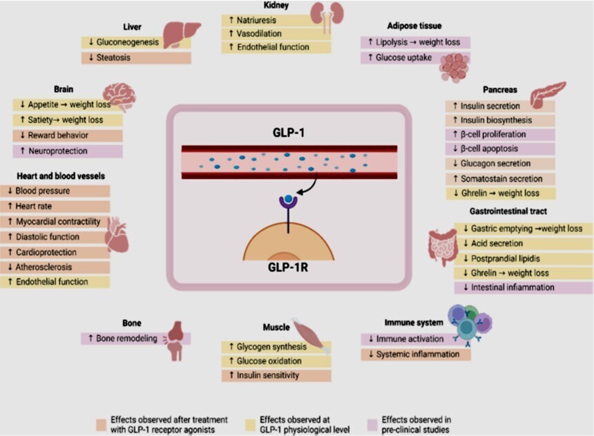 GLP1