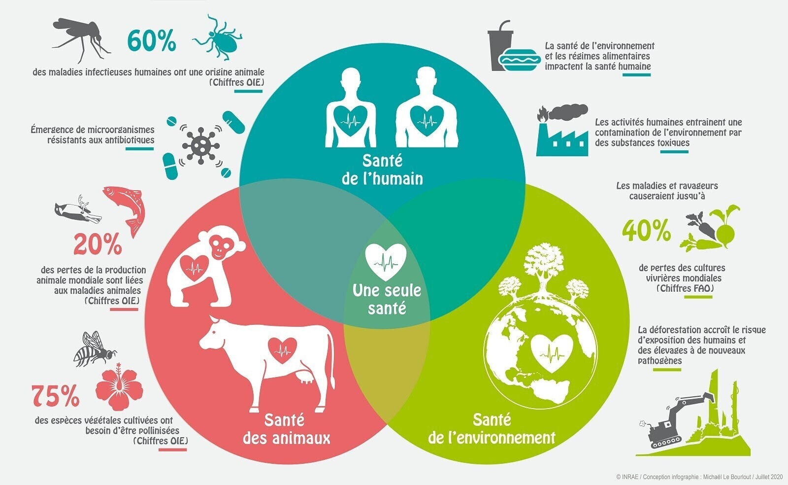 Illustration One Health web