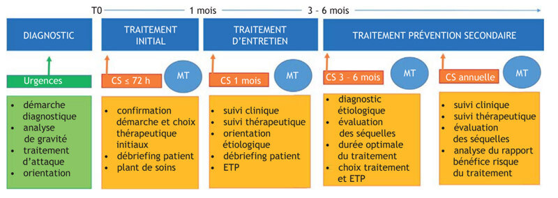Prise en charge structuree de l embolie pulmonaire d apres les recommandations francaises de bonne pratique