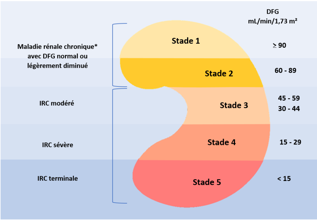 Stades 1024x710