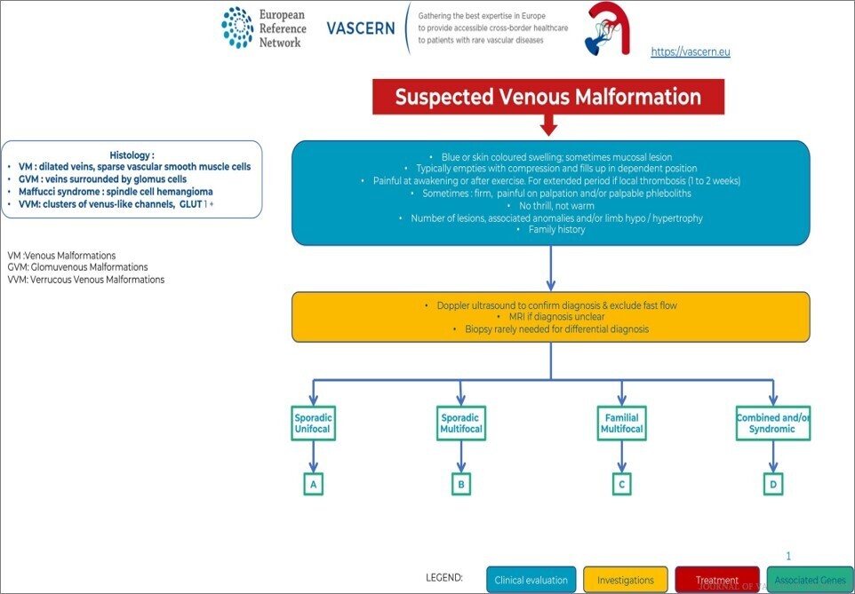 VASCERN1