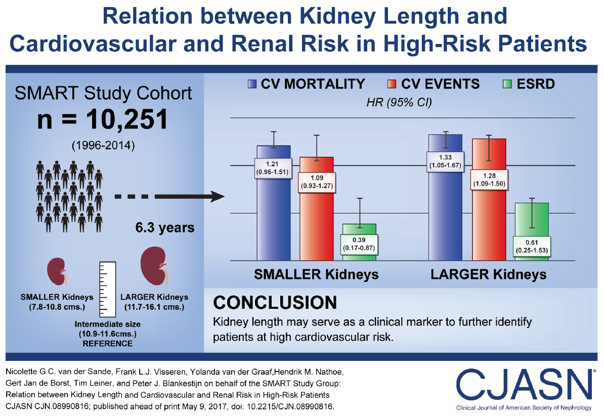 Visual abstract 3 Copy