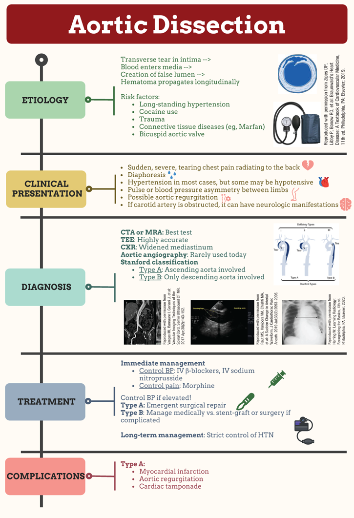 acm.igm cs116 fig001.info