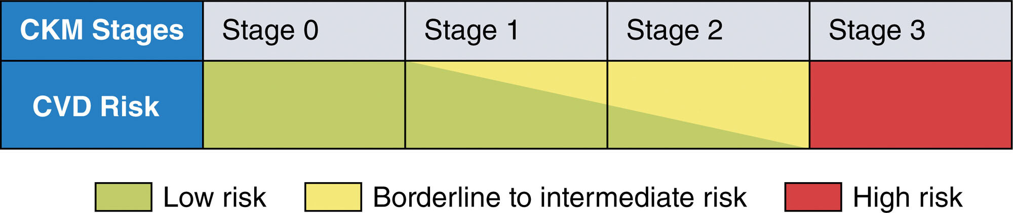 cir.0000000000001191.fig04