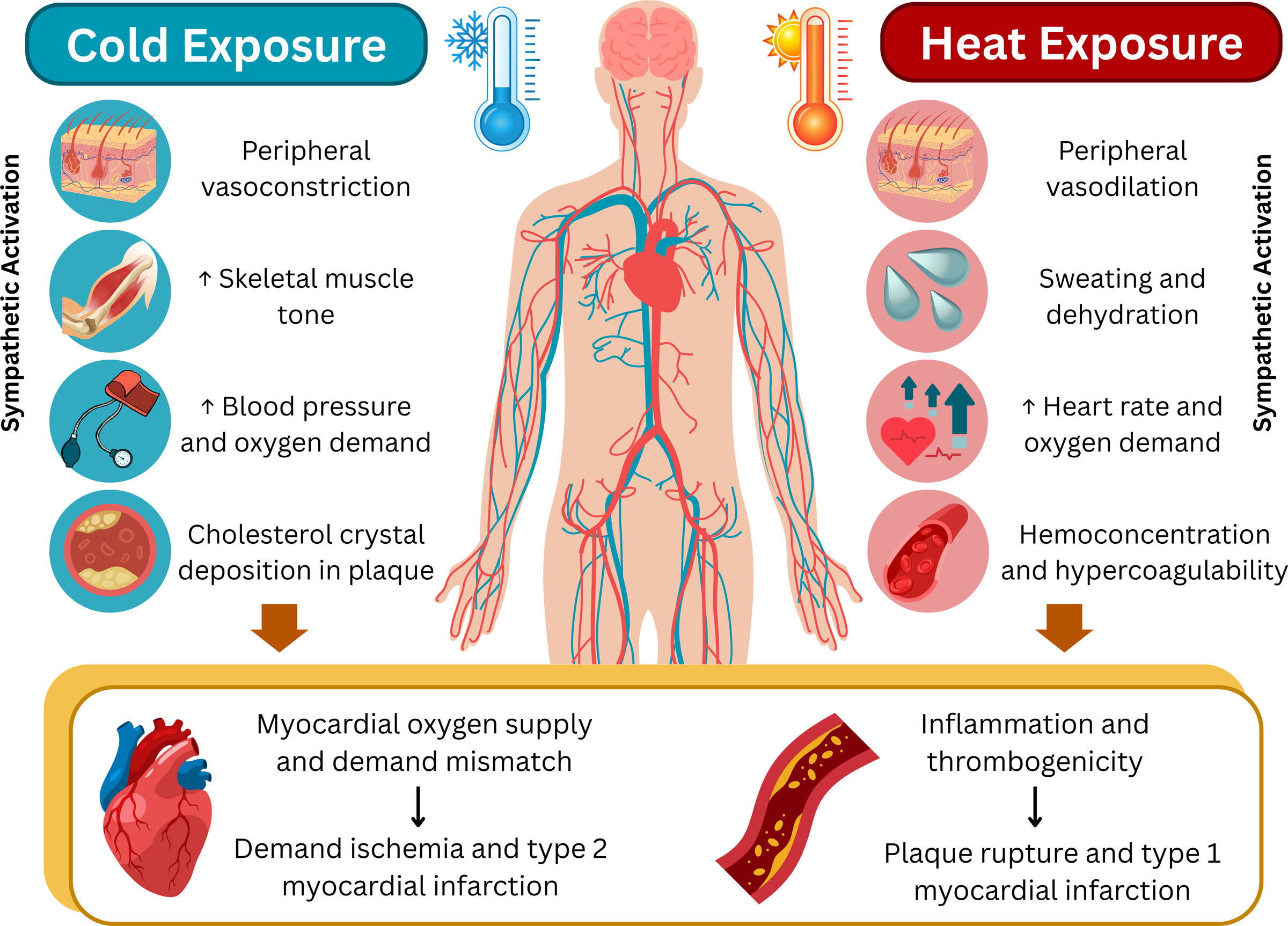 cir.0000000000001419.fig04
