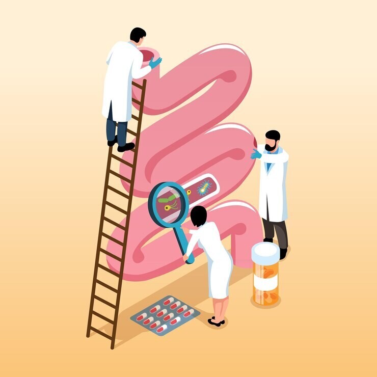 concept isometrique gastro enterologie groupe gastro enterologues examinant illustration vectorielle intestins 98292 8666