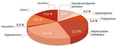 inserm causesinsuffisancesrenales dlargeur