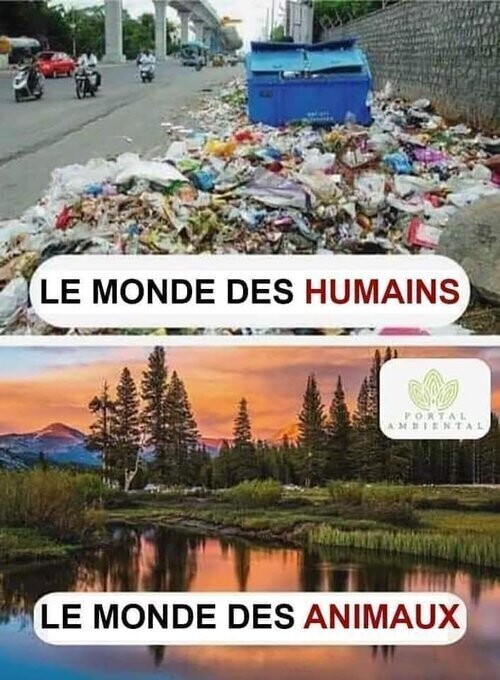 jua