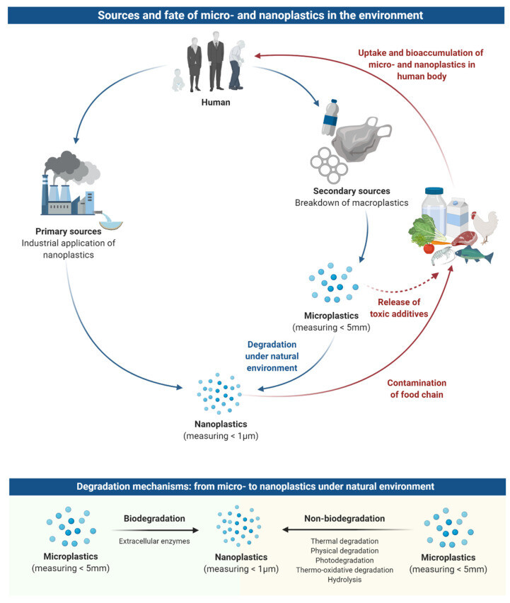 nanomaterials 11 00496 g001
