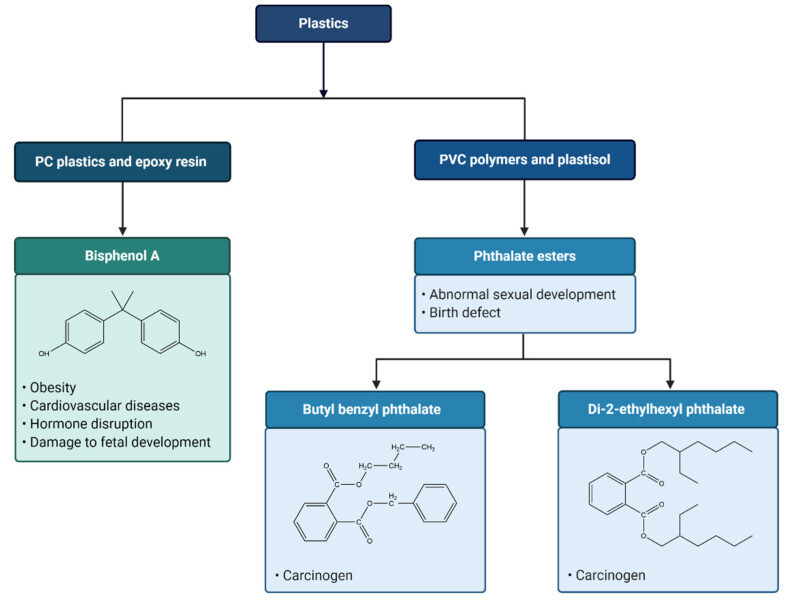 nanomaterials 11 00496 g004