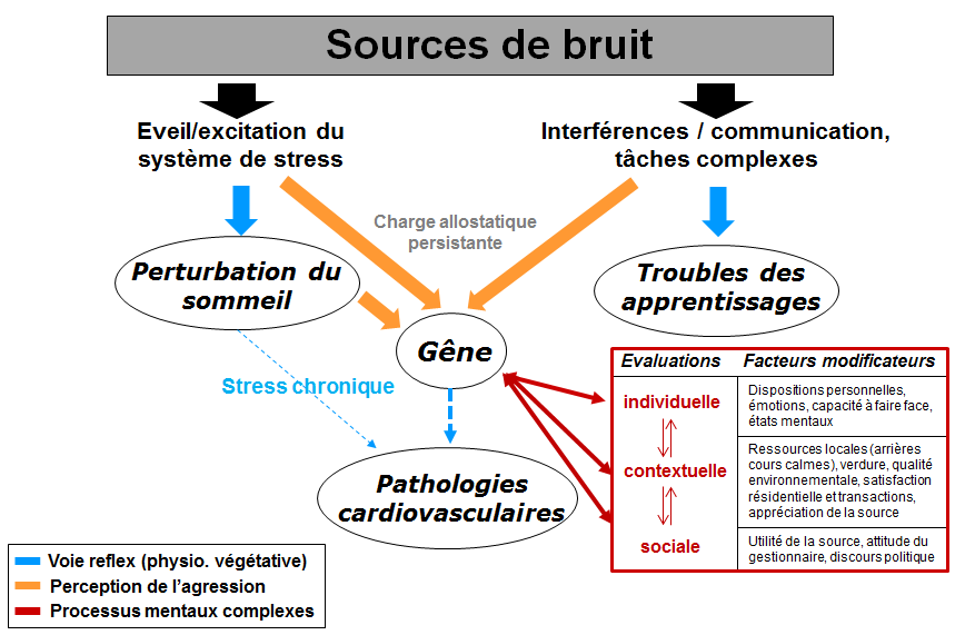 pages environnement 400 impacts du bruit 950 les impacts sanitaires du bruit 800 effets extra auditifs 3