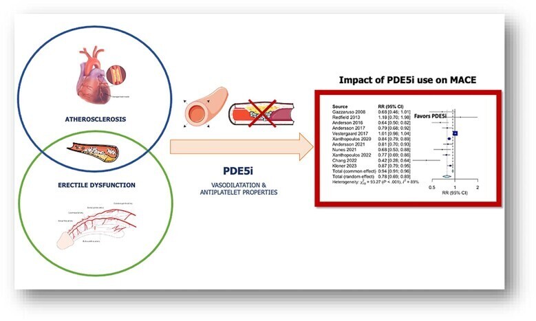 pvae029fig1g