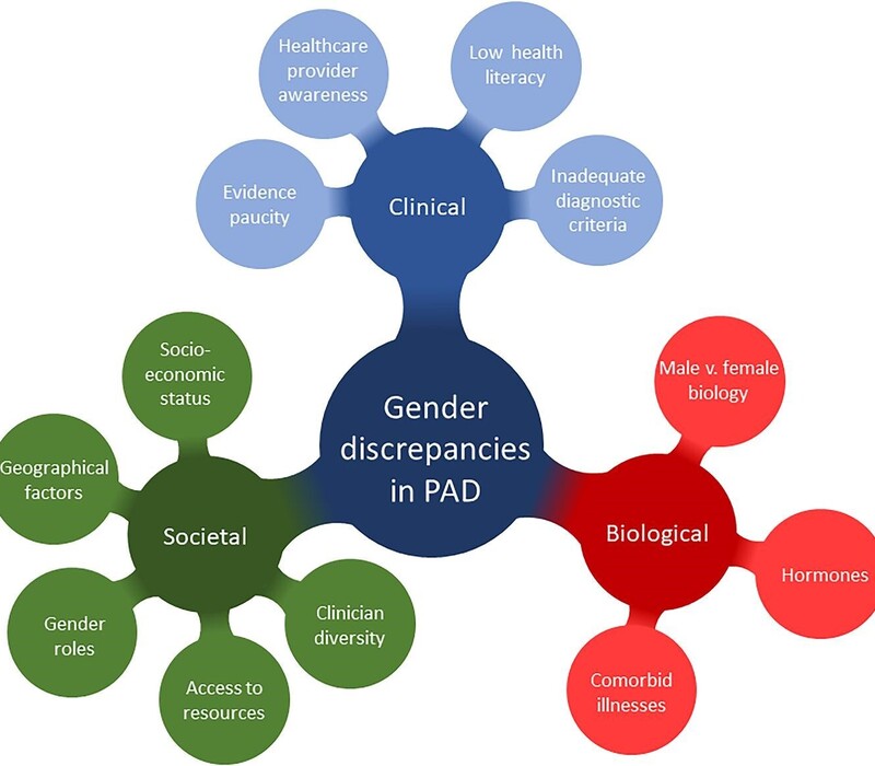 qcad011fig1