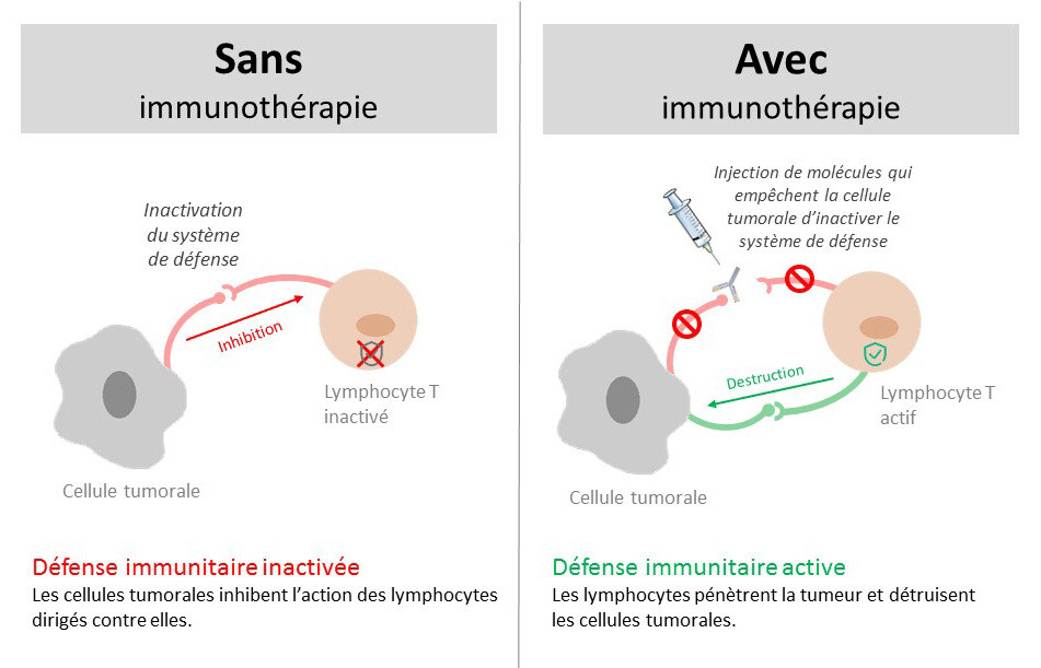 schema immutherapie patient