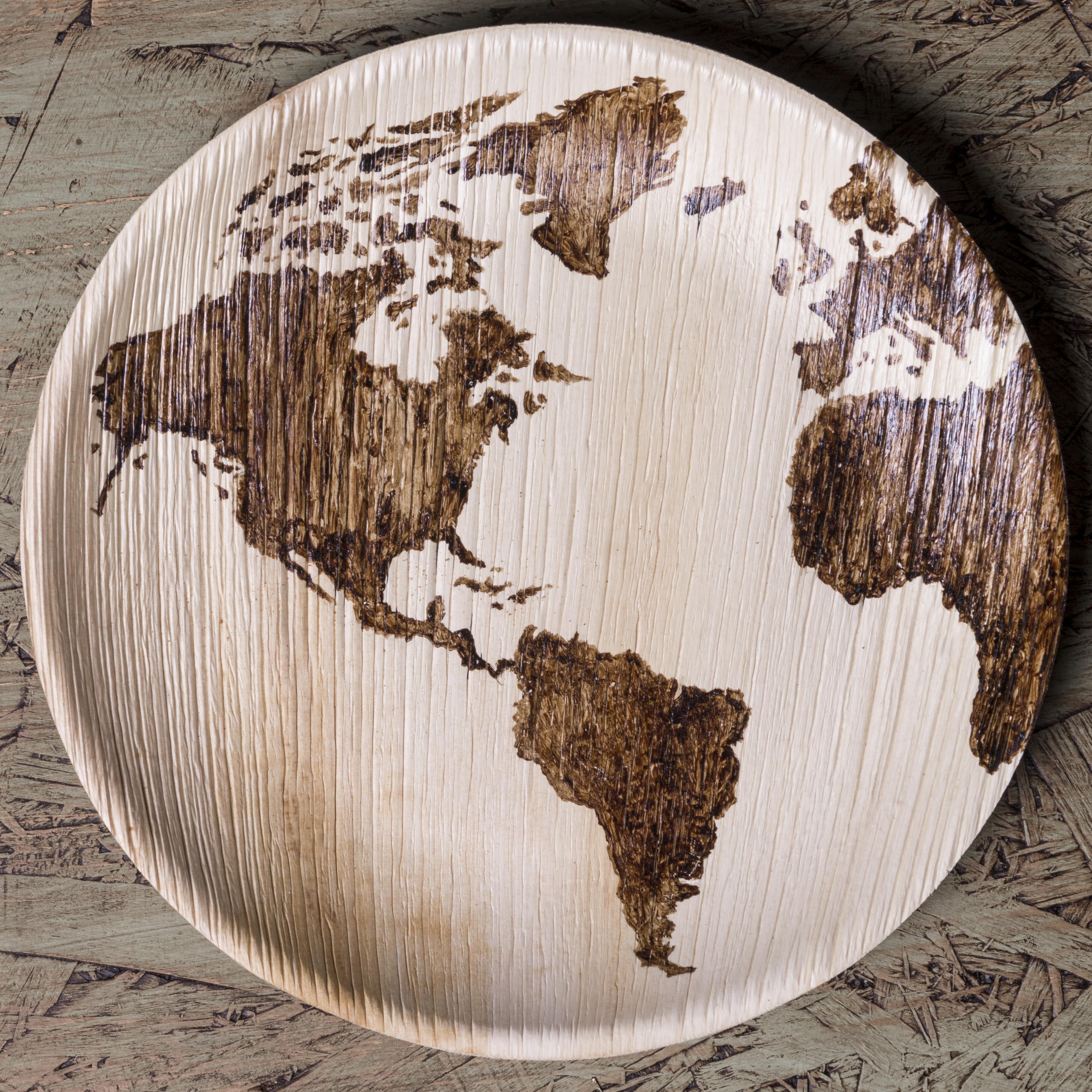 top view plate with world map 1