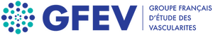 gfev final texte horizontal a4219410