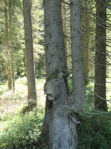 L1030359