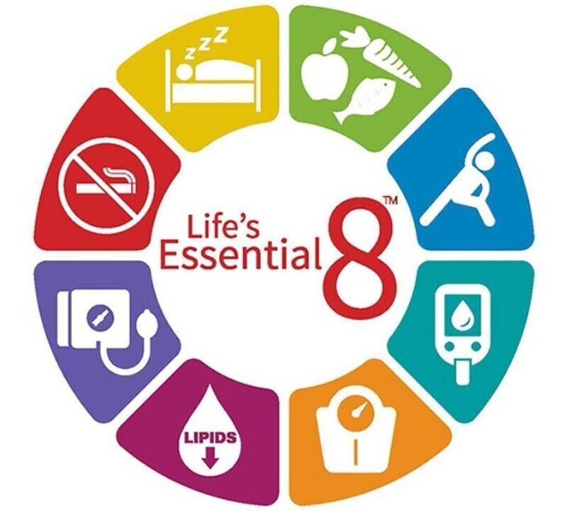 Prévention Primaire CV et LDL