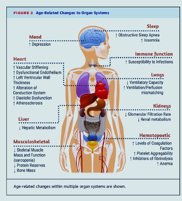 CARDIOAGE2