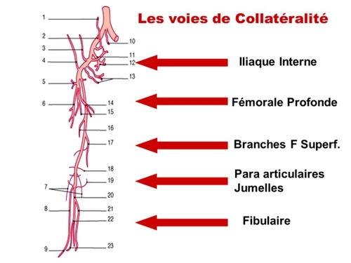 COLLAT