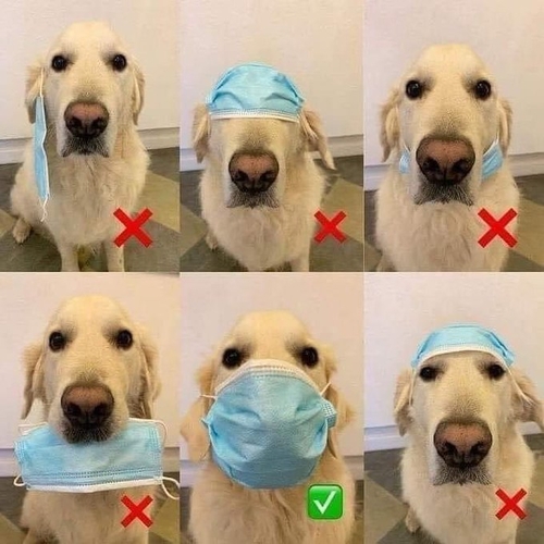 FIlRiIeXoAMeKFb