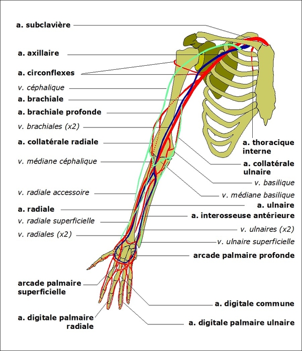 FVA10