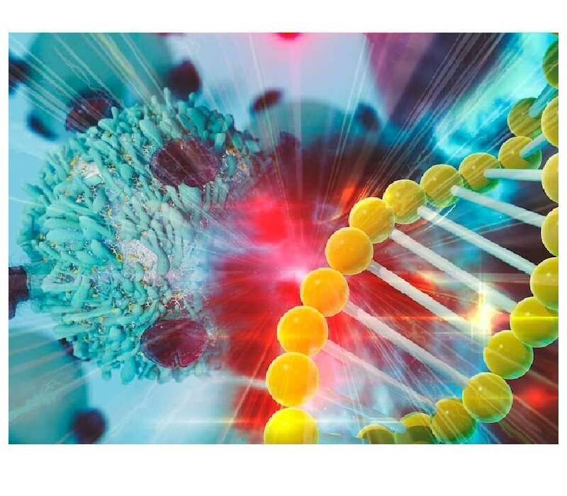 IA et IMMUNOTHERAPIE
