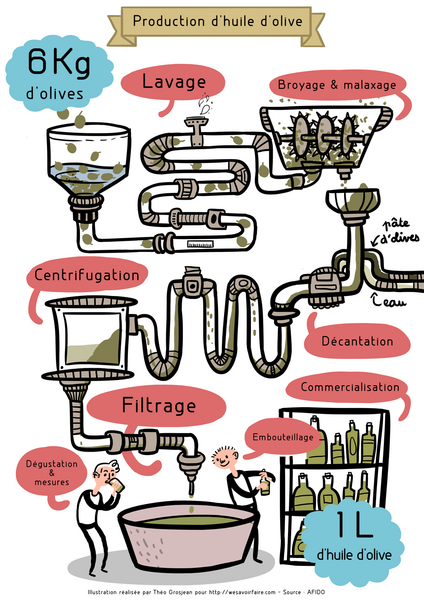 Infographie partie21