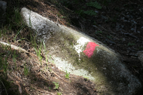 L1030657