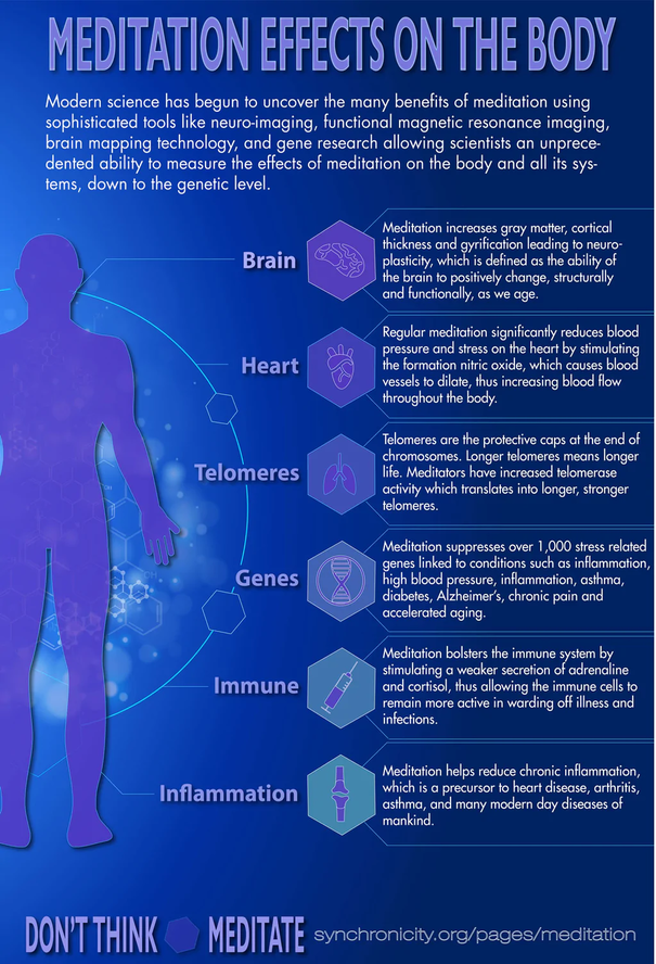 Meditation and the body2 1024x