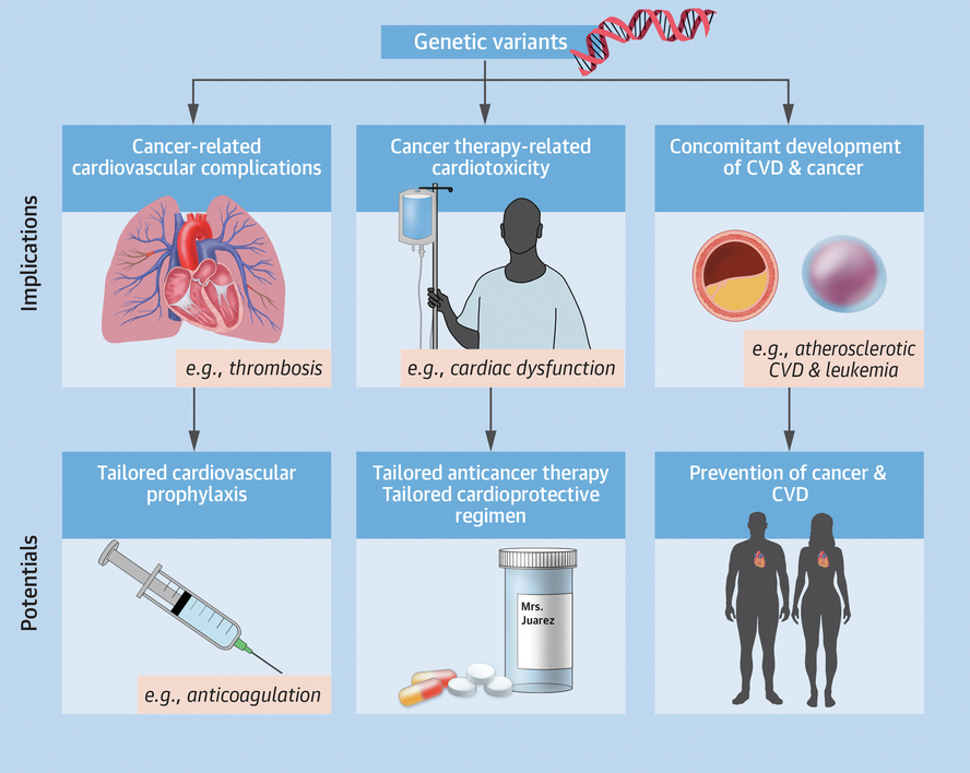 RISQUECVCANCER