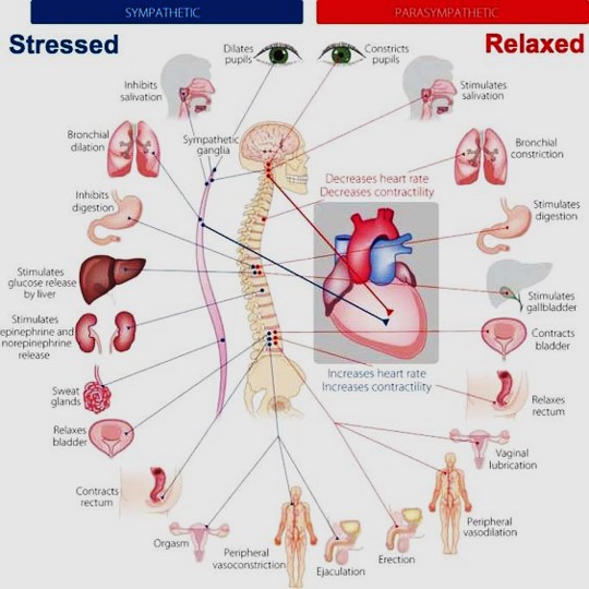 STRERELAX