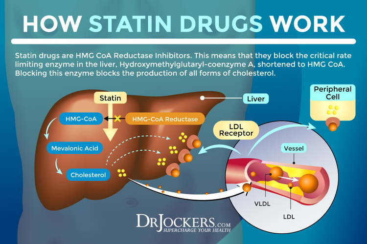 Statins3