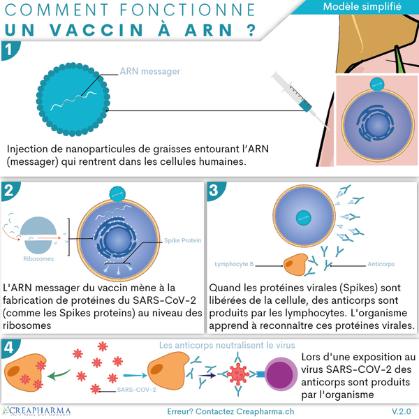 Vaccin, ARN messager : ZOOM