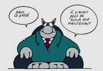 CHAT QUI ANTICIOPE